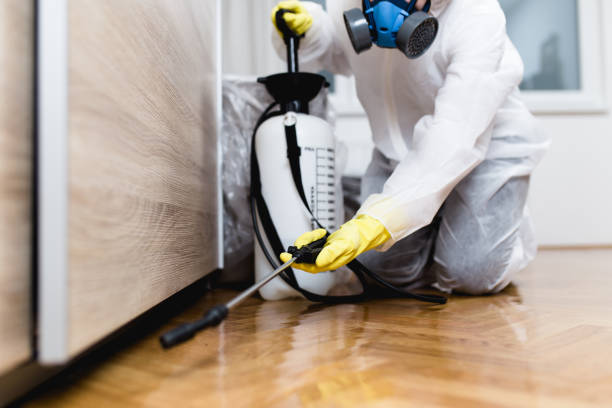 Best Termite Control Services  in Louisville, MS